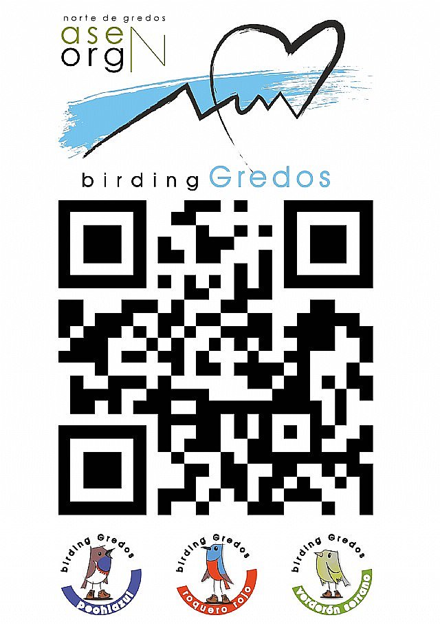 Birding Gredos